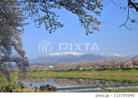 白石川堤一目千本桜の風景 113705040
