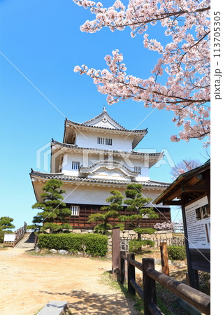 【香川県】桜咲く春の丸亀城(現存天守と石垣の名城) 【香川県】桜咲く春の丸亀城(現存天守と石垣の名城) 113705305