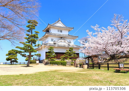 【香川県】桜咲く春の丸亀城（現存天守と石垣の名城） 113705306
