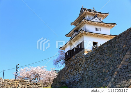 【香川県】桜咲く春の丸亀城(二の丸から見た天守と二の丸に咲く桜) 【香川県】桜咲く春の丸亀城(二の丸から見た天守と二の丸に咲く桜) 113705317