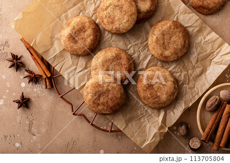 Cinnamon cookies on a parchment paper with milk 113705804
