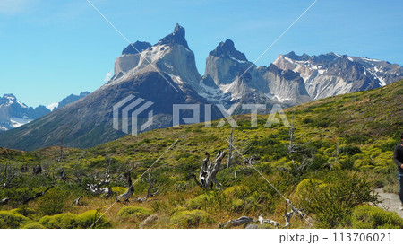 パタゴニア パタゴニア 113706021