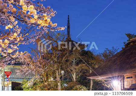 春の京都 ねねの道から見える八坂の塔と夜桜 春の京都 ねねの道から見える八坂の塔と夜桜 113706509