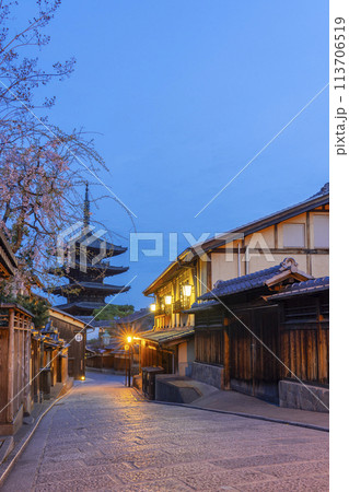 春の京都　夜桜と八坂の塔 113706519