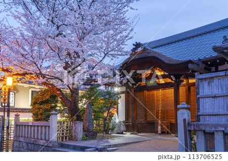 京都・清水坂　来迎院前の満開の桜 113706525