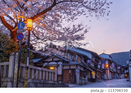 京都・清水坂 来迎院前の満開の桜 京都・清水坂 来迎院前の満開の桜 113706530