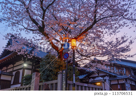 京都・清水坂　来迎院前の満開の桜 113706531