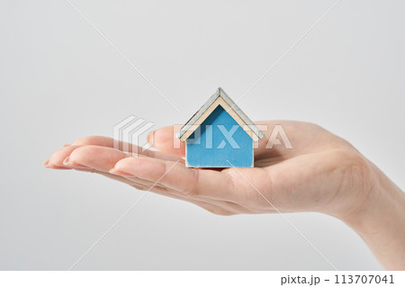 女性の手のひらに乗せられた住宅模型 113707041