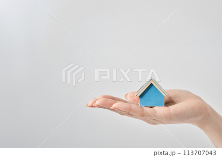 女性の手のひらに乗せられた住宅模型 113707043