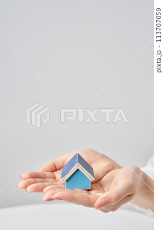 女性の手のひらに乗せられた住宅模型 113707059