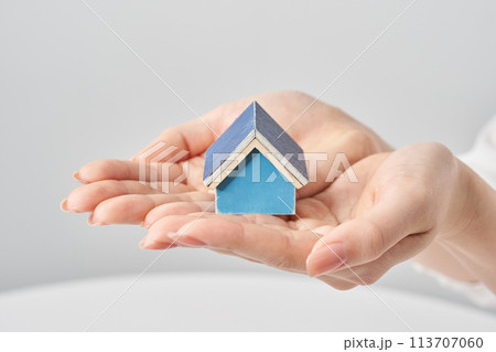 女性の手のひらに乗せられた住宅模型 113707060