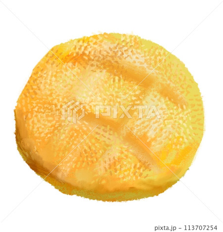 アクリル風に描いたメロンパン 113707254