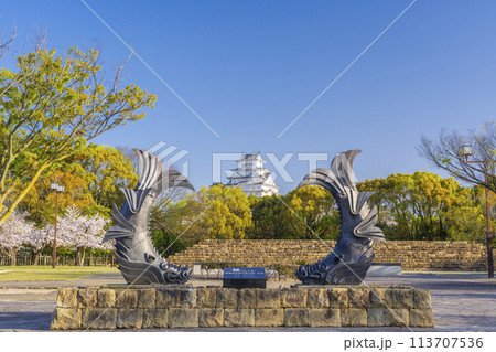 満開の桜の季節　姫路城と鯱鉾 113707536