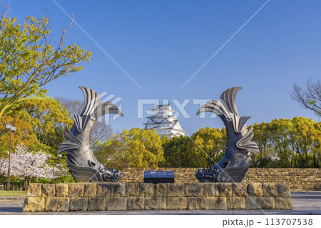 満開の桜の季節　姫路城と鯱鉾 113707538