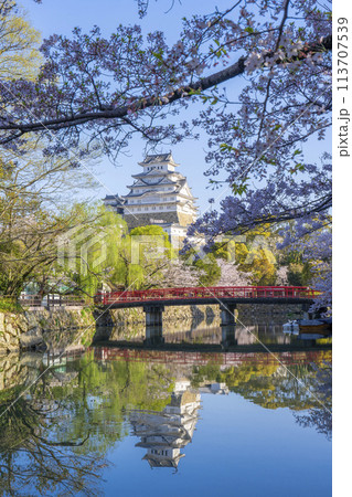 満開の桜の季節　姫路城と城見橋のリフレクション 113707539