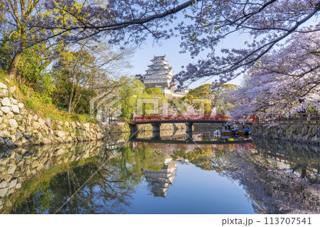満開の桜の季節 姫路城と城見橋のリフレクション 満開の桜の季節 姫路城と城見橋のリフレクション 113707541