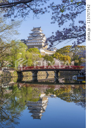 満開の桜の季節 姫路城と城見橋のリフレクション 満開の桜の季節 姫路城と城見橋のリフレクション 113707542