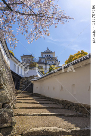 満開の桜と姫路城(はの門手前の将軍坂) 満開の桜と姫路城(はの門手前の将軍坂) 113707566