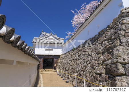 満開の桜と姫路城（にの門） 113707567