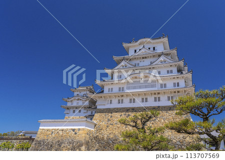 備前丸跡から眺める姫路城 113707569