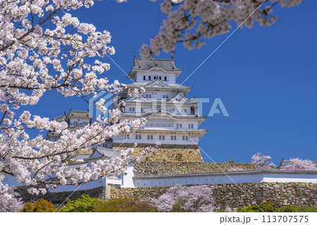 満開の桜と姫路城 113707575