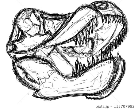 ティラノサウルスの頭骨化石のイラスト(白) 113707982