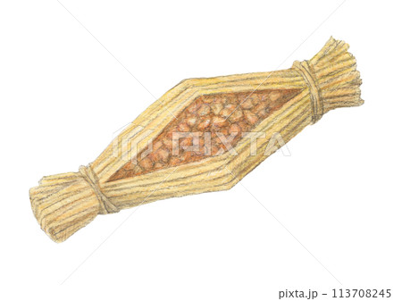 藁納豆　水彩色鉛筆アナログイラスト 113708245