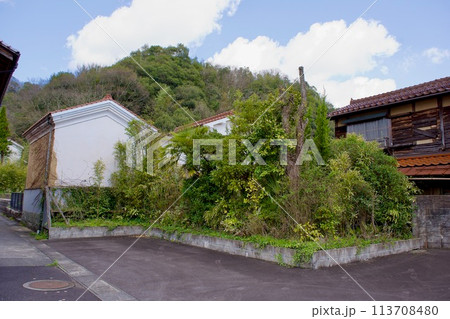 日本の倉と緑の樹木 113708480
