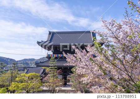 京都 くろ谷 金戒光明寺 山門と満開の桜 京都 くろ谷 金戒光明寺 山門と満開の桜 113708951
