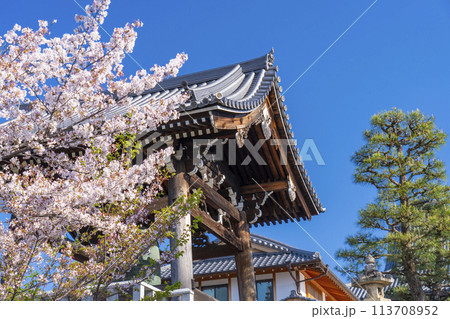 京都　くろ谷 金戒光明寺　鐘楼と満開の桜 113708952