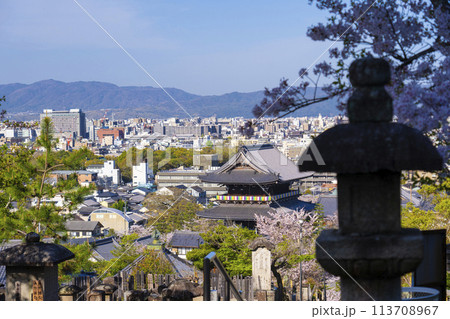 春の京都 金戒光明寺 文殊塔から見下ろす桜と山門 春の京都 金戒光明寺 文殊塔から見下ろす桜と山門 113708967