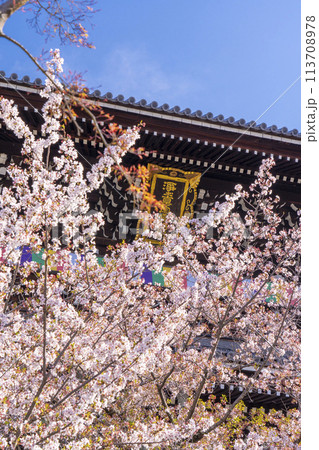 京都　くろ谷 金戒光明寺　山門と満開の桜 113708978