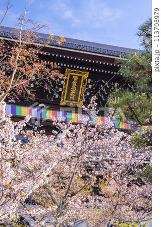 京都 くろ谷 金戒光明寺 山門と満開の桜 京都 くろ谷 金戒光明寺 山門と満開の桜 113708979