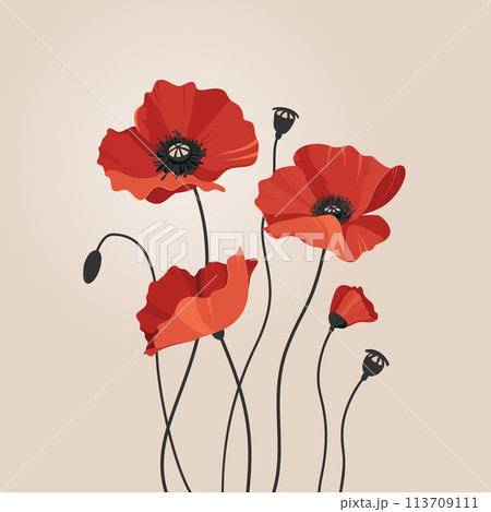 Group of red flowers on beige background. Red poppies are a symbol of memory and sorrow. Vector illustration. 113709111
