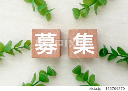 募集の文字パネル 募集の文字パネル 113709270