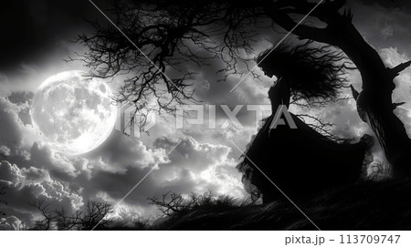 Banshee Eerie Full Moon Illustration of the Foreteller of Death Banshee Eerie Full Moon Illustration of the Foreteller of Death 113709747
