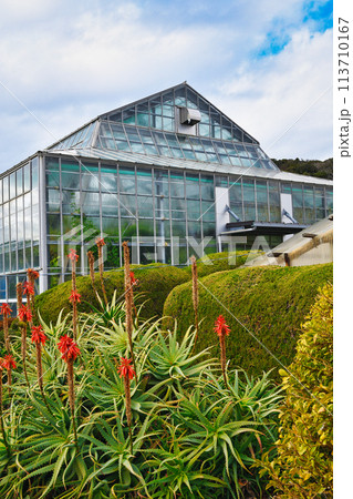 下田　爪木崎　爪木崎花園の温室とアロエ（静岡県下田市） 113710167