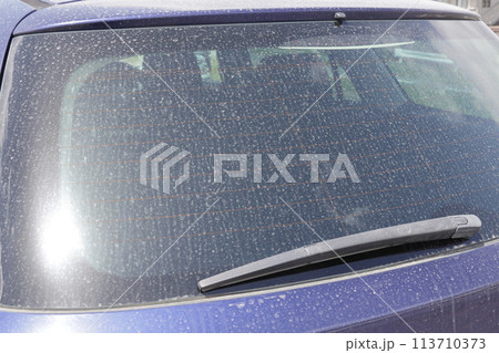 自動車のリアガラスの汚れ 自動車のリアガラスの汚れ 113710373