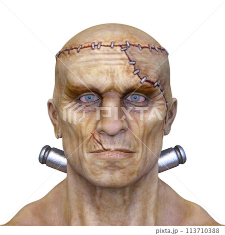 男性モンスターの顔 男性モンスターの顔 113710388