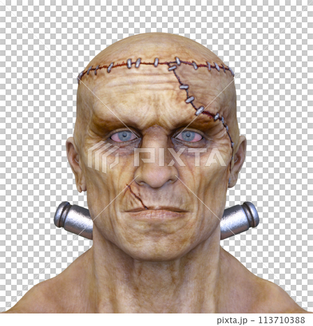 男性モンスターの顔 男性モンスターの顔 113710388