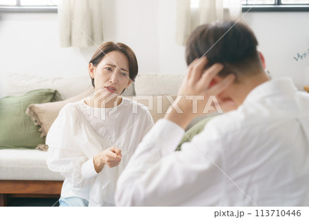リビングで言い争う夫婦 リビングで言い争う夫婦 113710446