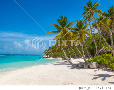 tropical beach with palm and sand tropical beach with palm and sand 113710523