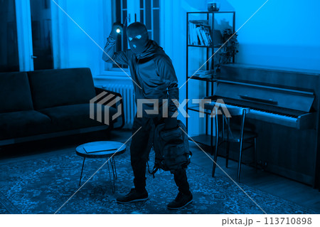 Silhouette of a thief in a lit room 113710898