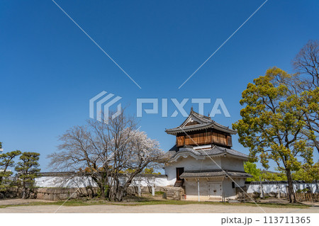 岡山県　春の岡山城の月見櫓と桜 113711365