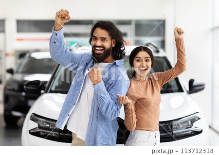 Excited hindu couple celebrating a new car purchase 113712318