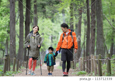 ハイキングする親子　緑の中登山やトレッキングする家族　夏のレジャーやアウトドアのお出かけのイメージ 113712339