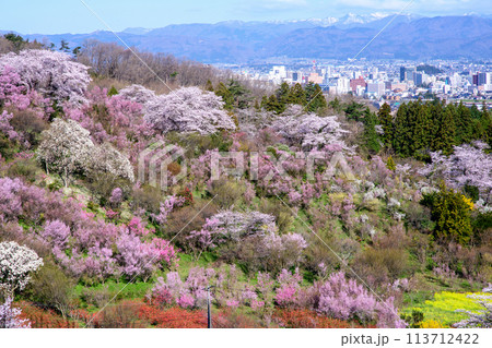 春の朝 一面の花木に覆われる花見山からの絶景 福島県 春の朝 一面の花木に覆われる花見山からの絶景 福島県 113712422