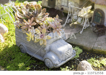 多肉植物の入った車の形のプランター 113712558