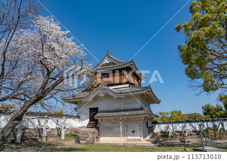 岡山県　春の岡山城の月見櫓と桜 113713010