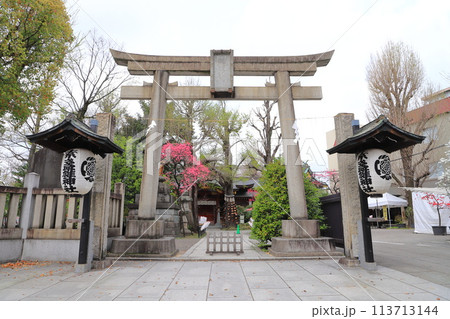 素盞雄神社（すさのおじんじゃ）　鳥居と社殿　 113713144